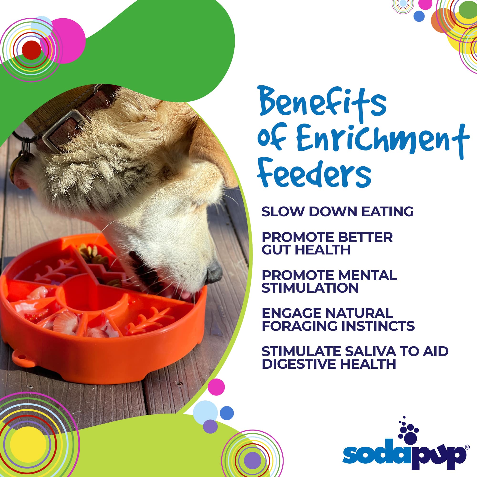 Great Outdoors eBowl - Slow Feeder Dog Bowl