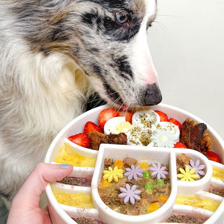 Java eBowl Deep Slow Feeder Dog Bowl