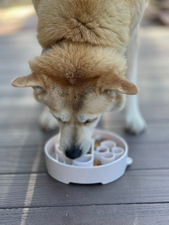 Java eBowl Deep Slow Feeder Dog Bowl