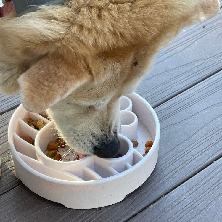 Java eBowl Deep Slow Feeder Dog Bowl