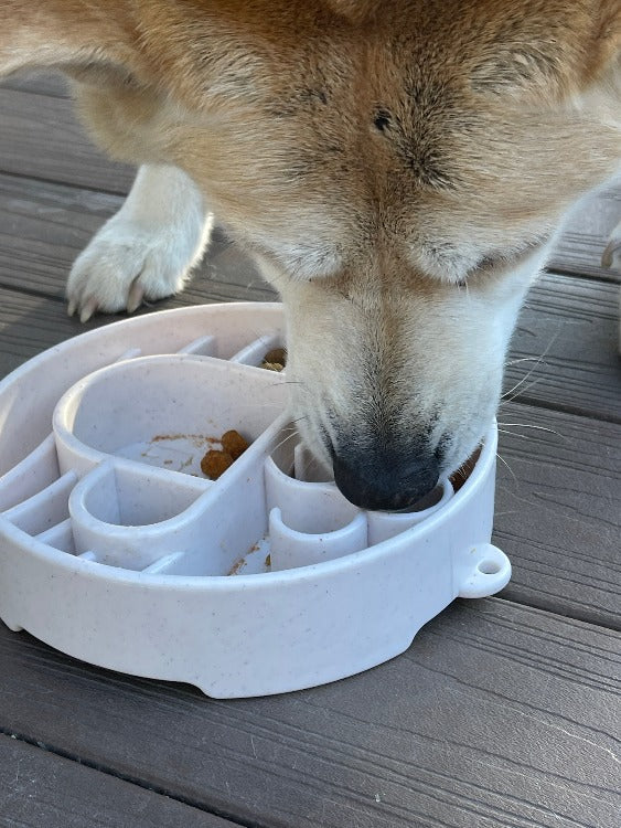 Java eBowl Deep Slow Feeder Dog Bowl