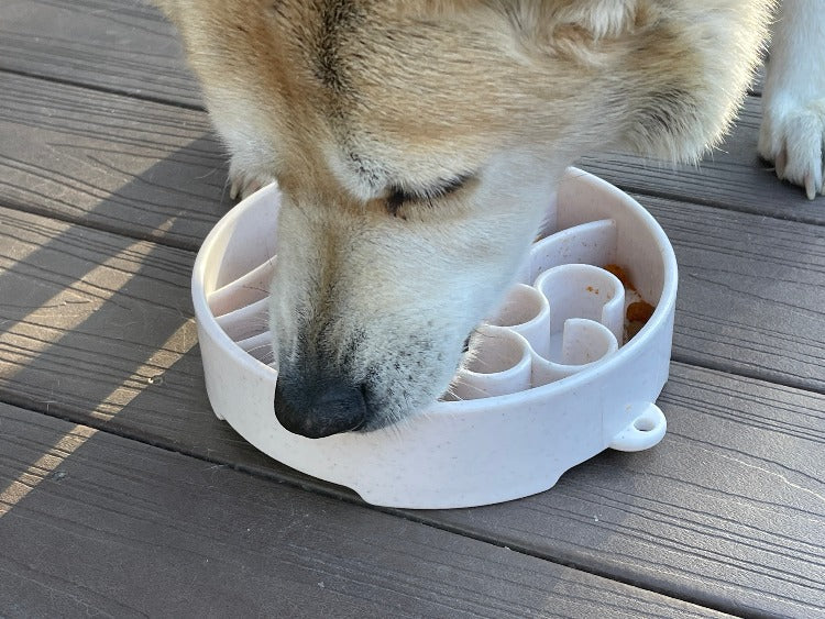 Java eBowl Deep Slow Feeder Dog Bowl
