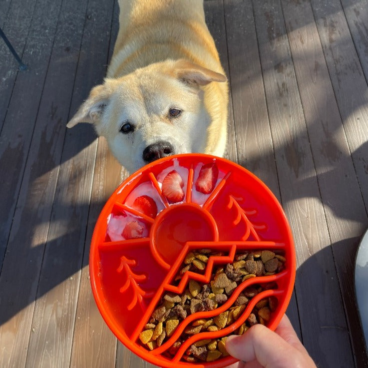 Great Outdoors eBowl - Slow Feeder Dog Bowl