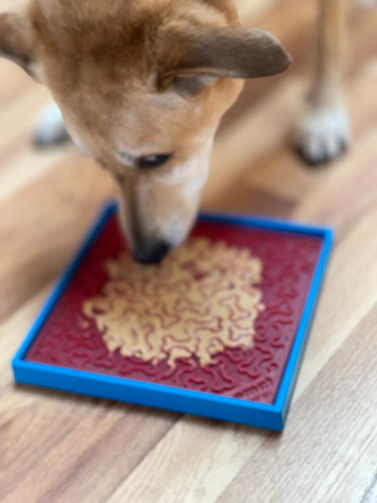 Hold 'em Suction Cup Holder for Dog eBowls & Lick Mats