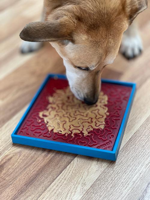 Hold 'em Suction Cup Holder for Dog eBowls & Lick Mats