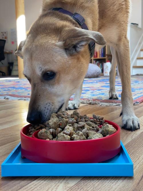 Hold 'em Suction Cup Holder for Dog eBowls & Lick Mats