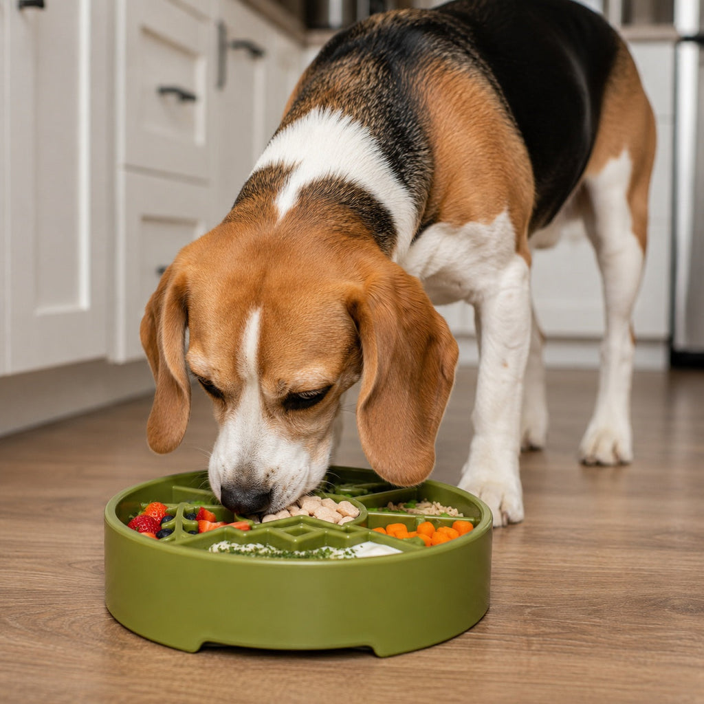 Great Outdoors eBowl - Slow Feeder Dog Bowl