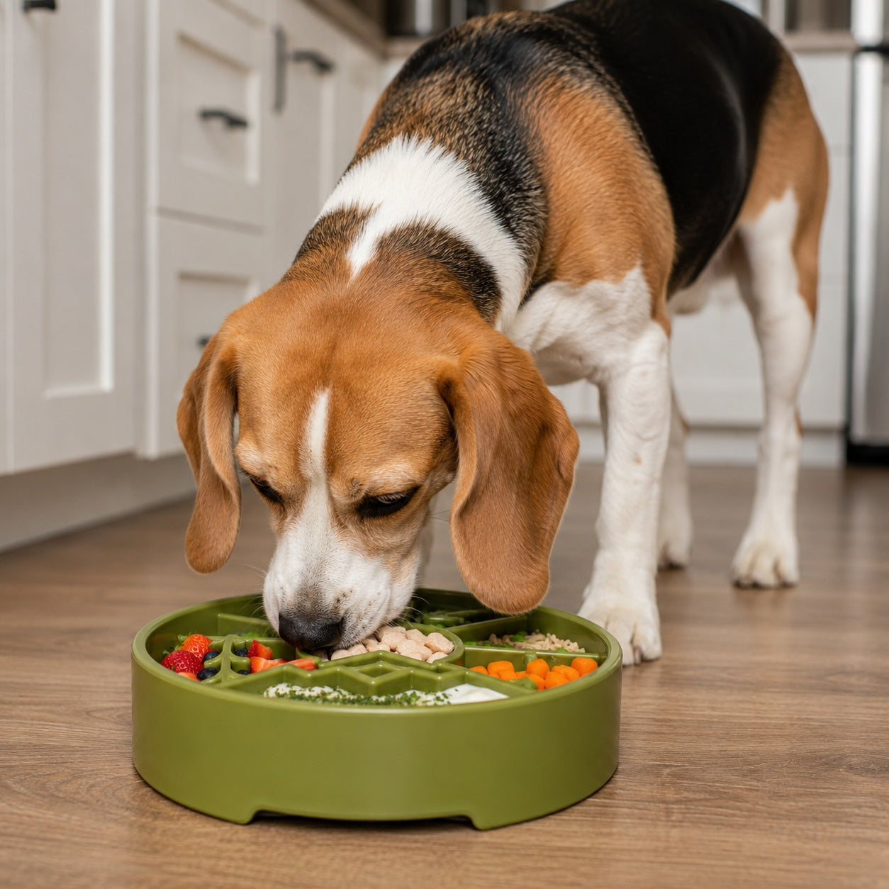 Great Outdoors eBowl - Slow Feeder Dog Bowl