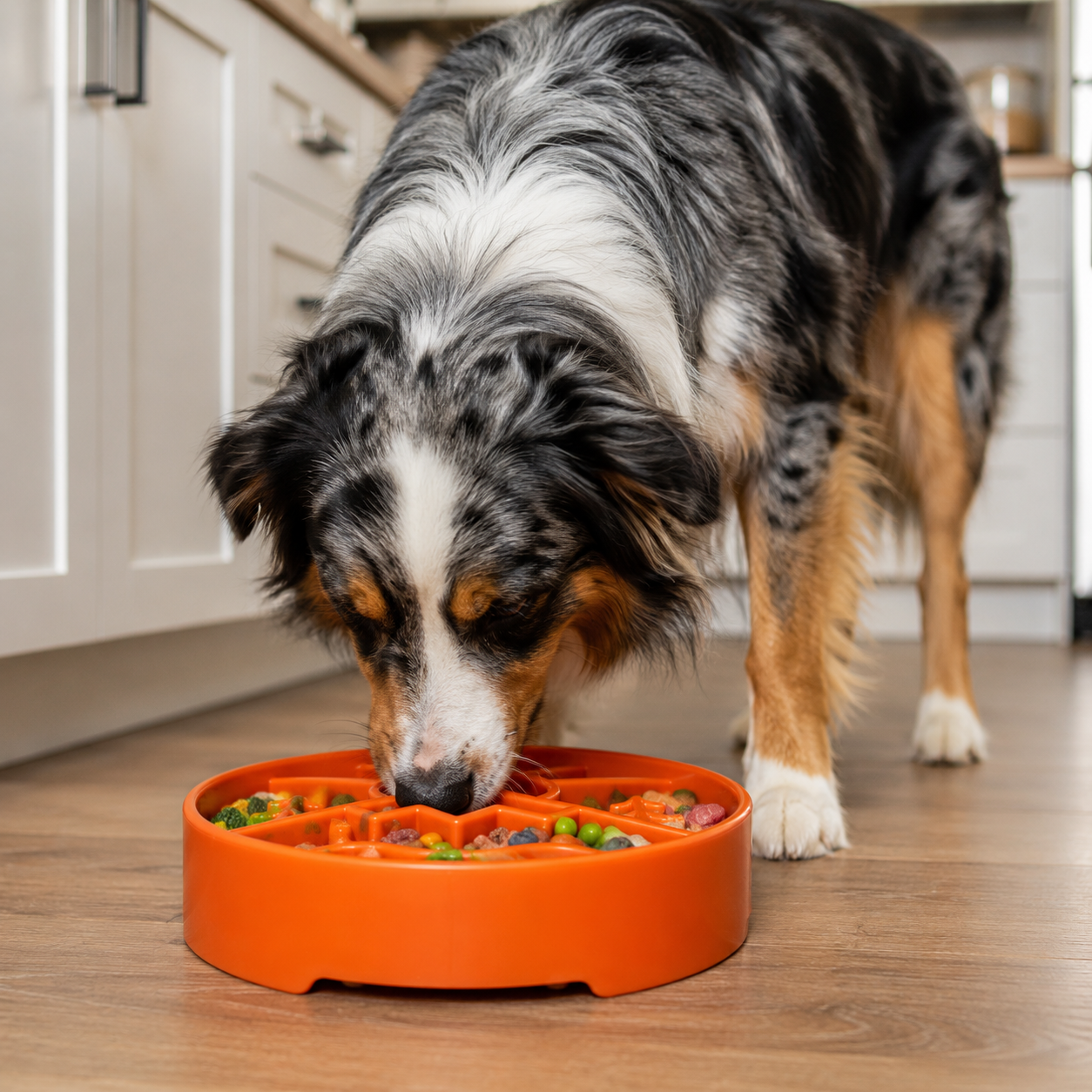 Great Outdoors eBowl - Slow Feeder Dog Bowl