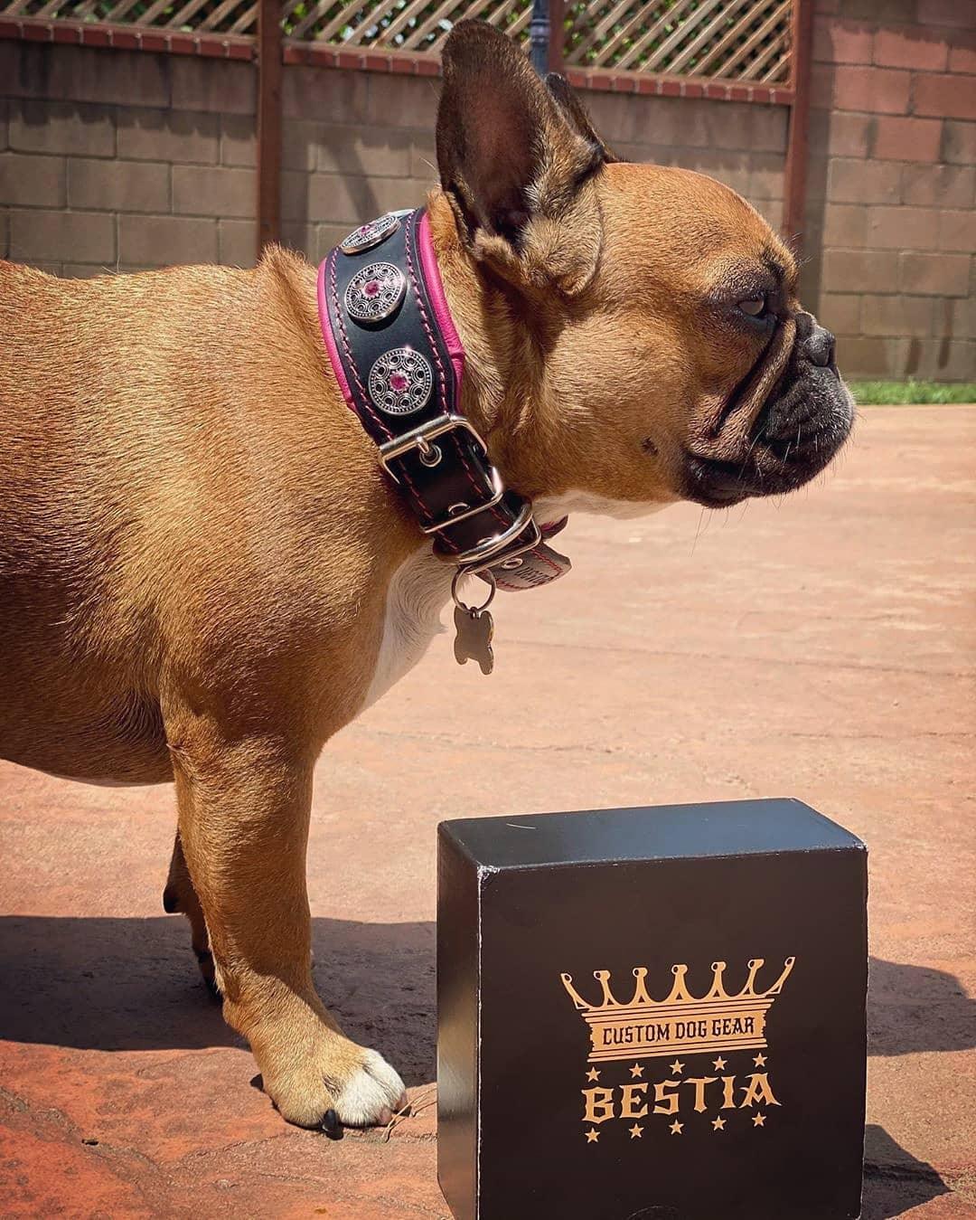 The "Bijou" Collar Pink & Black