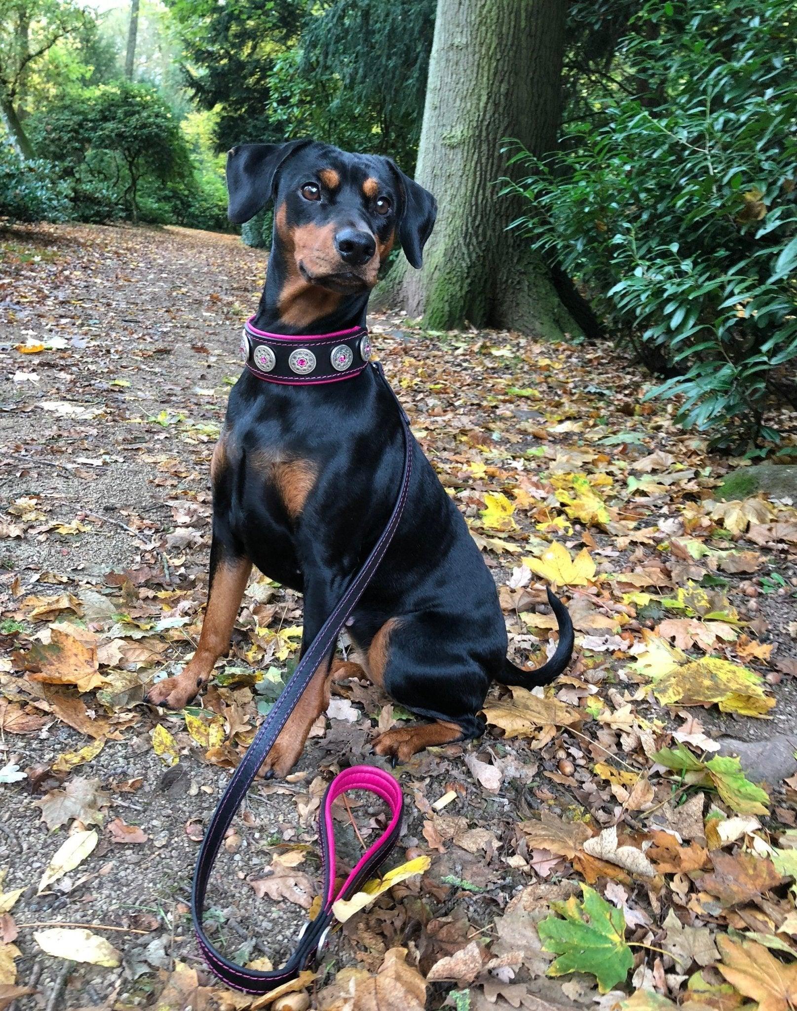 The "Bijou" Collar Pink & Black