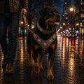 "AZTEC" BIG dog SET - Harness - collar - lead. Grey