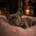 The "Bijou" Collar Pink & Black