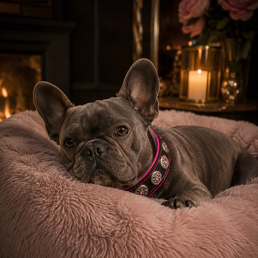 The "Bijou" Collar Pink & Black