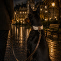 Hermes Collar