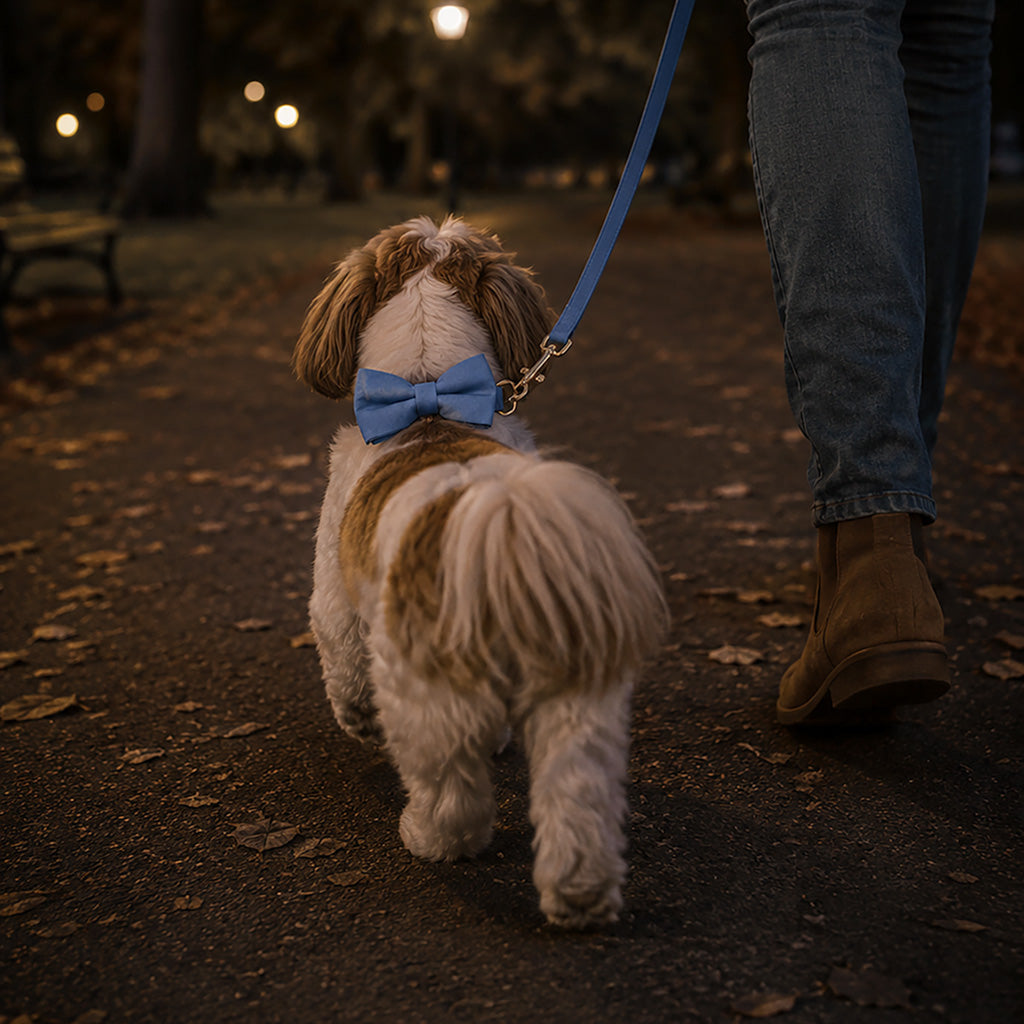 Luxury Blue Velvet Dog Collar And Leash Set